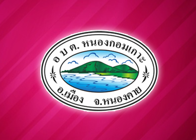 สนามกีฬาขององค์การบริหารส่วนตำบลหนองกอมเกาะ